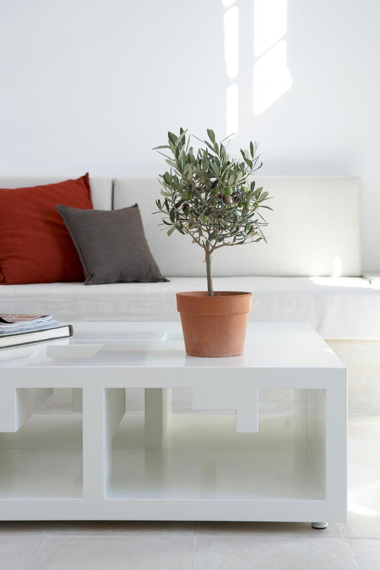 Villa Fabrica Santorini Pyrgos Kallistis Bagian luar foto